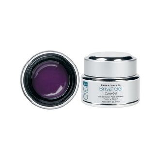 BRISA Purple Opaque Color