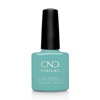 Shellac Oceanside