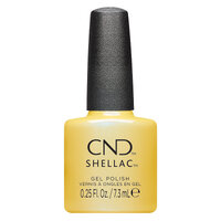Shellac Char-truth