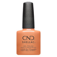 Shellac Daydreaming