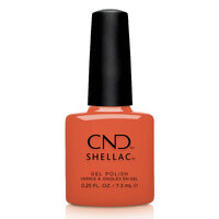 Shellac Ig-night-ed