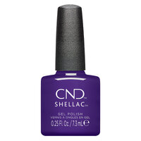 Shellac Battle Royale