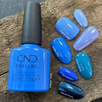 Shellac Motley Blue